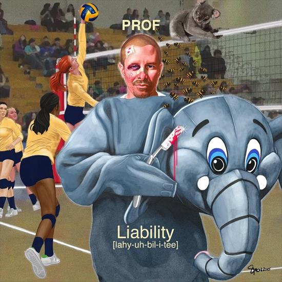 Prof - Liability 2015 iTunes - Cover.jpg