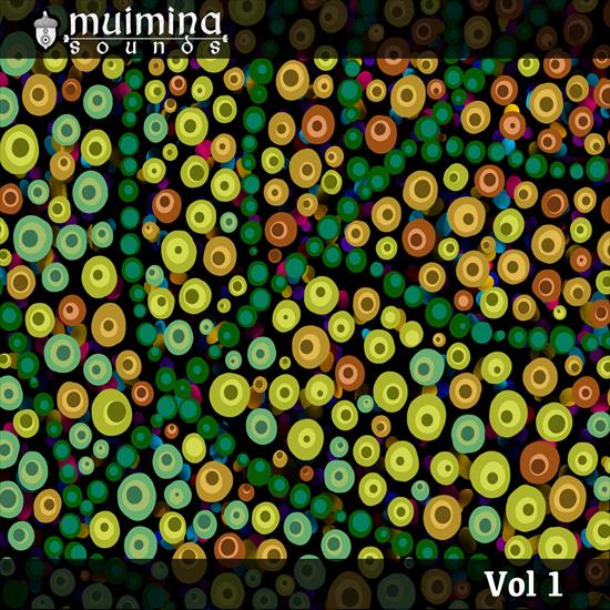 2022 - VA - Muimina Sounds, Vol. 1 CBR 320 - VA - Muimina Sounds, Vol. 1 - Front.png