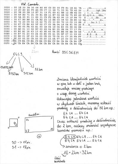 Programyfreee - VW Corrado.jpg