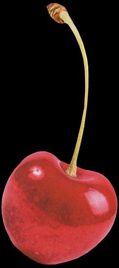 Fruits  Vegetables - cherry-02.png